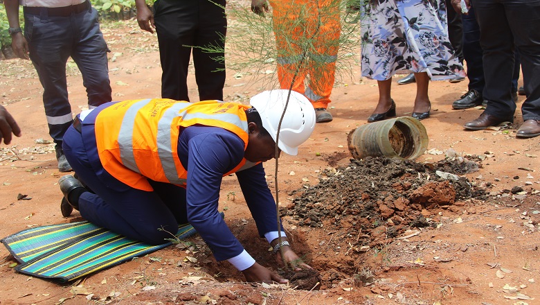 WAZIRI JAFO ATEMBELEA KIWANDA CHA TWIGA CEMENT cover image